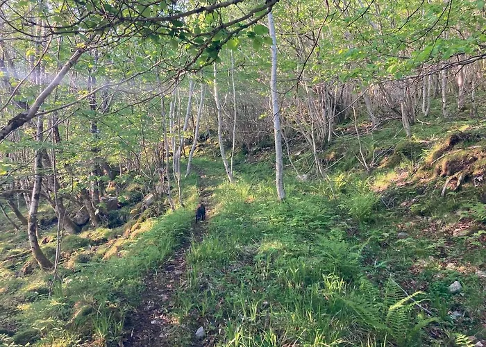 Rodseth Gardsovernatting Familierom